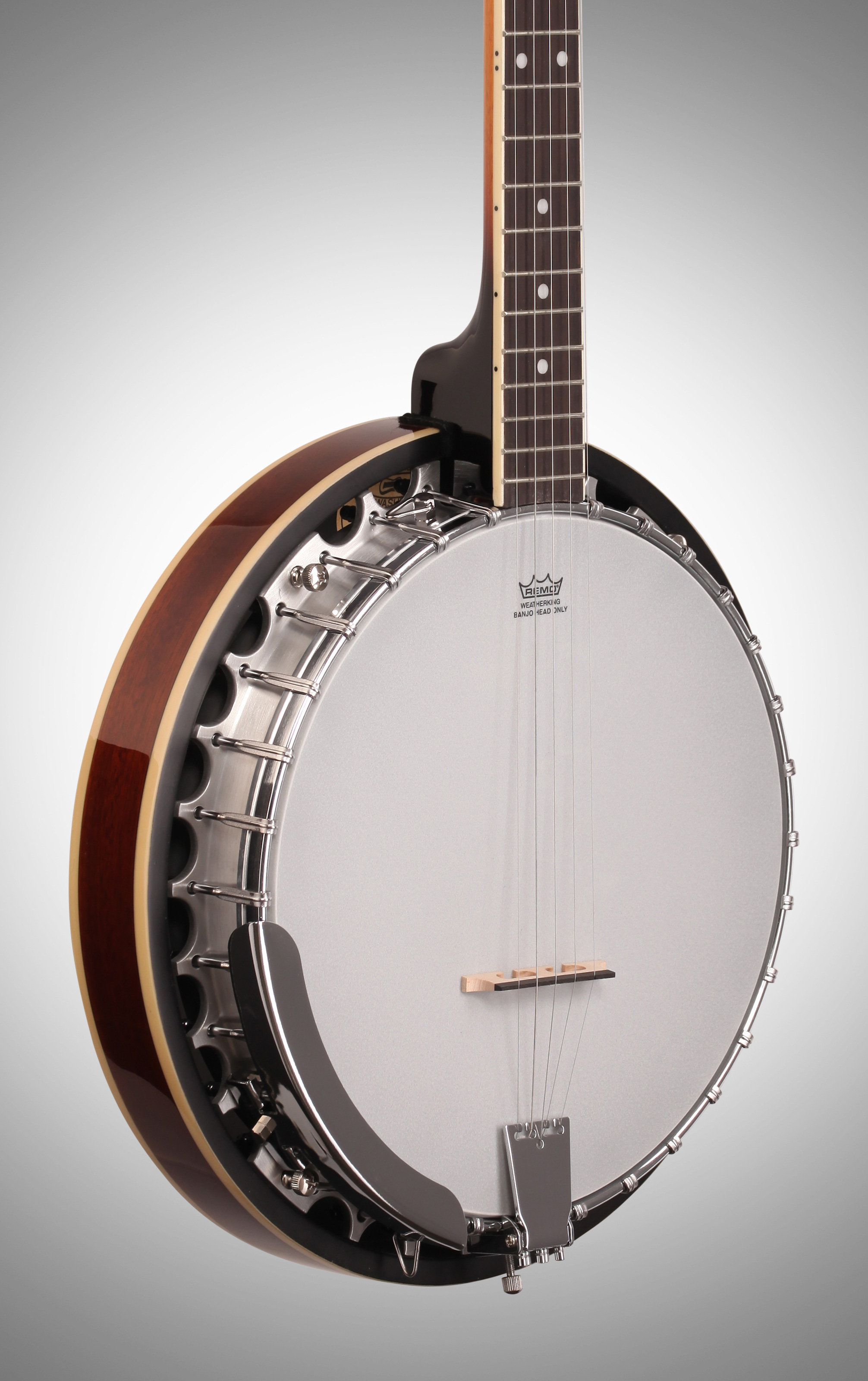 Best Banjo for Folk Music